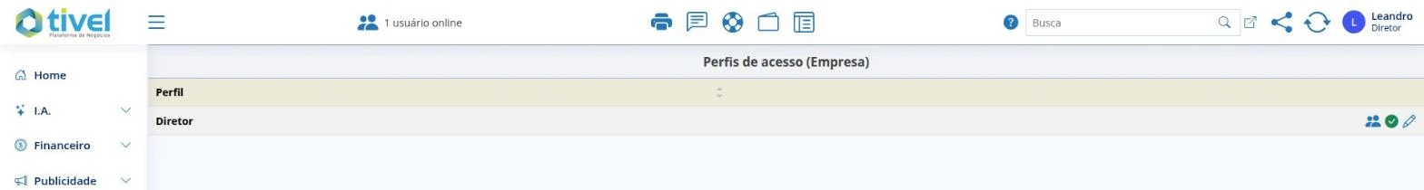 Perfis de acesso